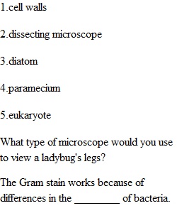 Practice Lab Exam